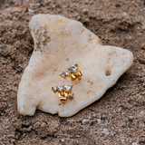 Sora Gold Earrings